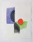 Preview: Sonia Delaunay Terk - La terra impareggiabile, 1970 (ID 262)