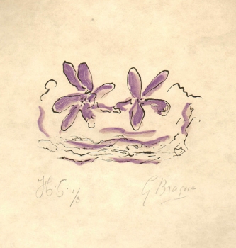 Braque, Georges. Deux fleurs violettes. (01114)