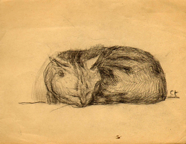 Steinlen, Théophile-Alexandre. Chat endormie. (00851)